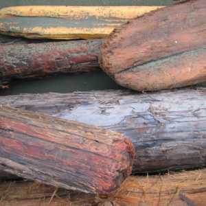 Logs on Bowen Island