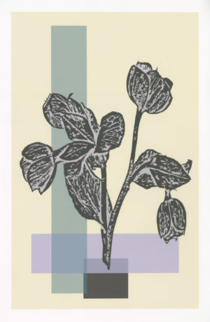 Stylized Flowers 2