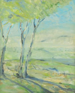 Birch Trees in Summer