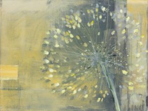 Allium Flowers