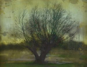 Beautiful Tree 3