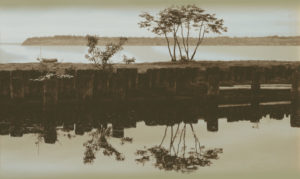Reflections