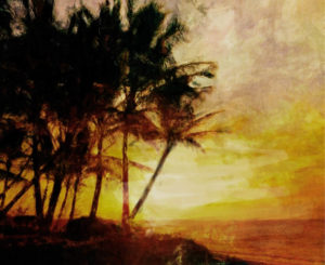 Palms and Sunset
