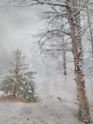 First Snow
