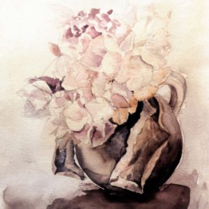 Hydrangea