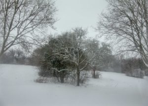Winter Enchantment