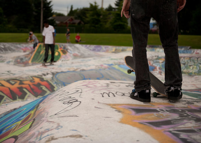 The Skate