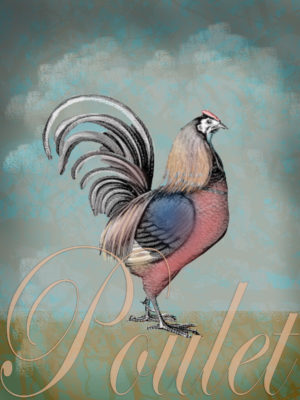 Poulet