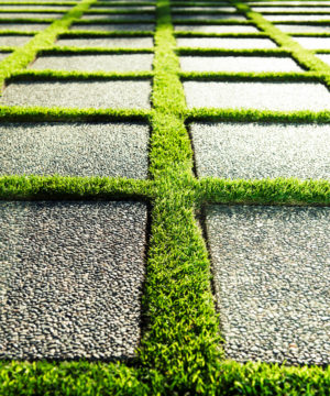 Urban Green