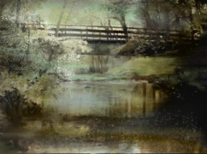 Quiet Pond