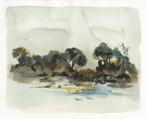 Trees