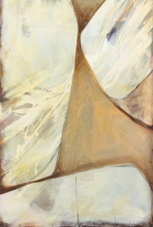 Amoeba II
