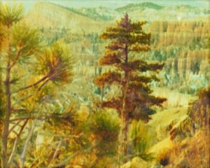 The Canyon
