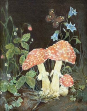 Still life with Butterfly