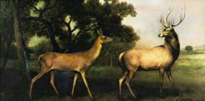 Buck and Doe
