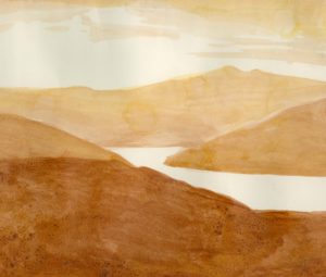 Northern Landscape