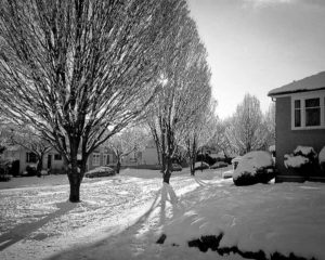 Houses in Snow