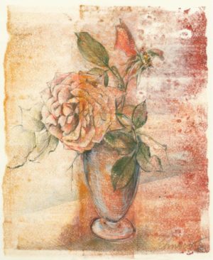 Peach Rose