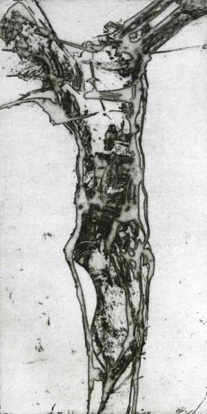 Metamorphosis