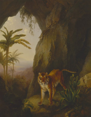 Tiger in a Cave