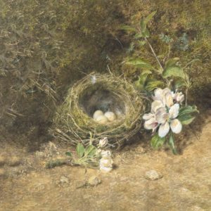 Birds Nest with sprays of Apple Blossoms