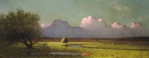 The Newbury Marshes