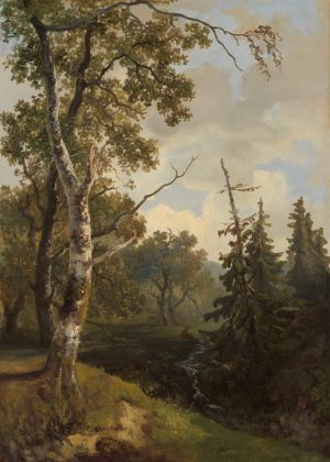 Woodland Scene in Wolfheze