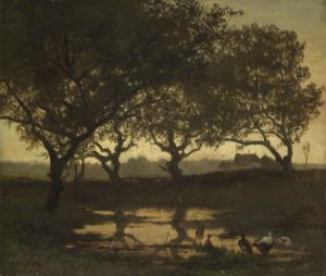 Forest pond at Sunset
