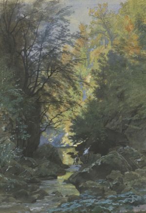 A stream through dense Forest