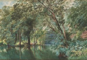 Trees over the River Frome at Stapleton