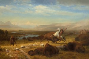 The Last of the Buffalo