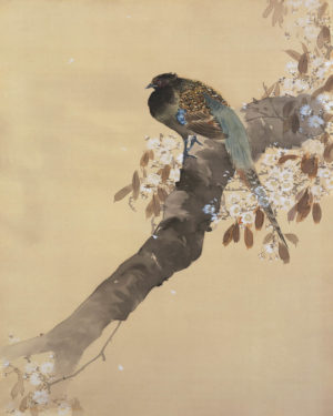 Pheasant on a Cherry Blossom Branch