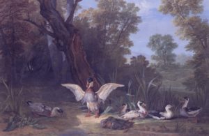 Animal Families