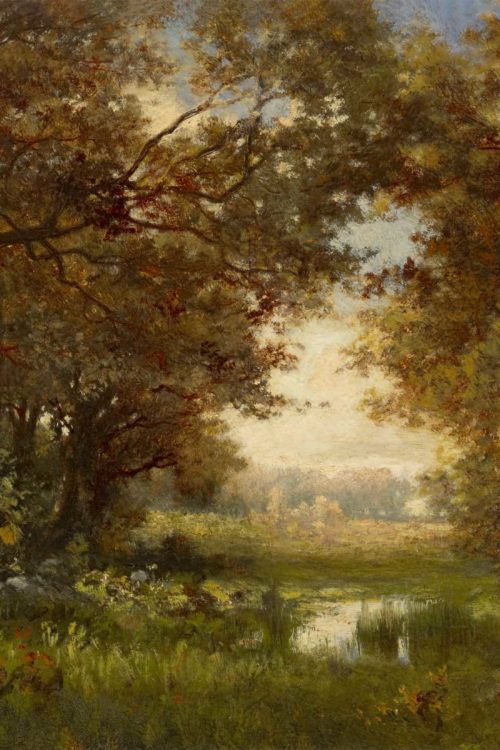 Hidden Pond