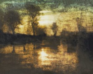 Swamp