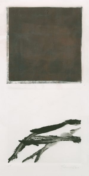 1067 1.jpg