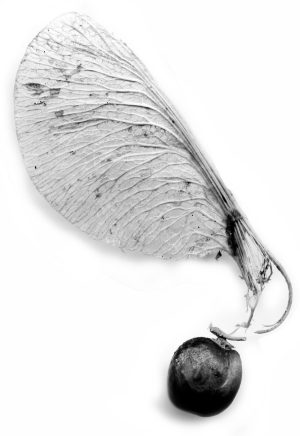 P 1283
