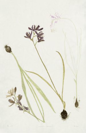 5812